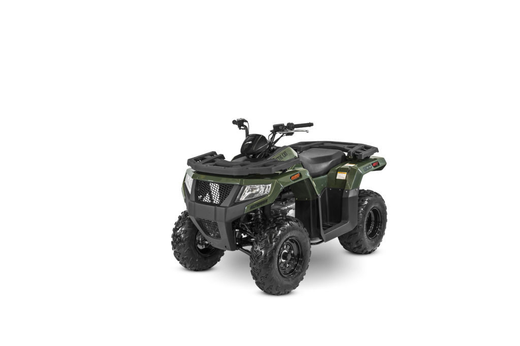 2027 Arctic Cat Alterra 300 in Sumiton, AL