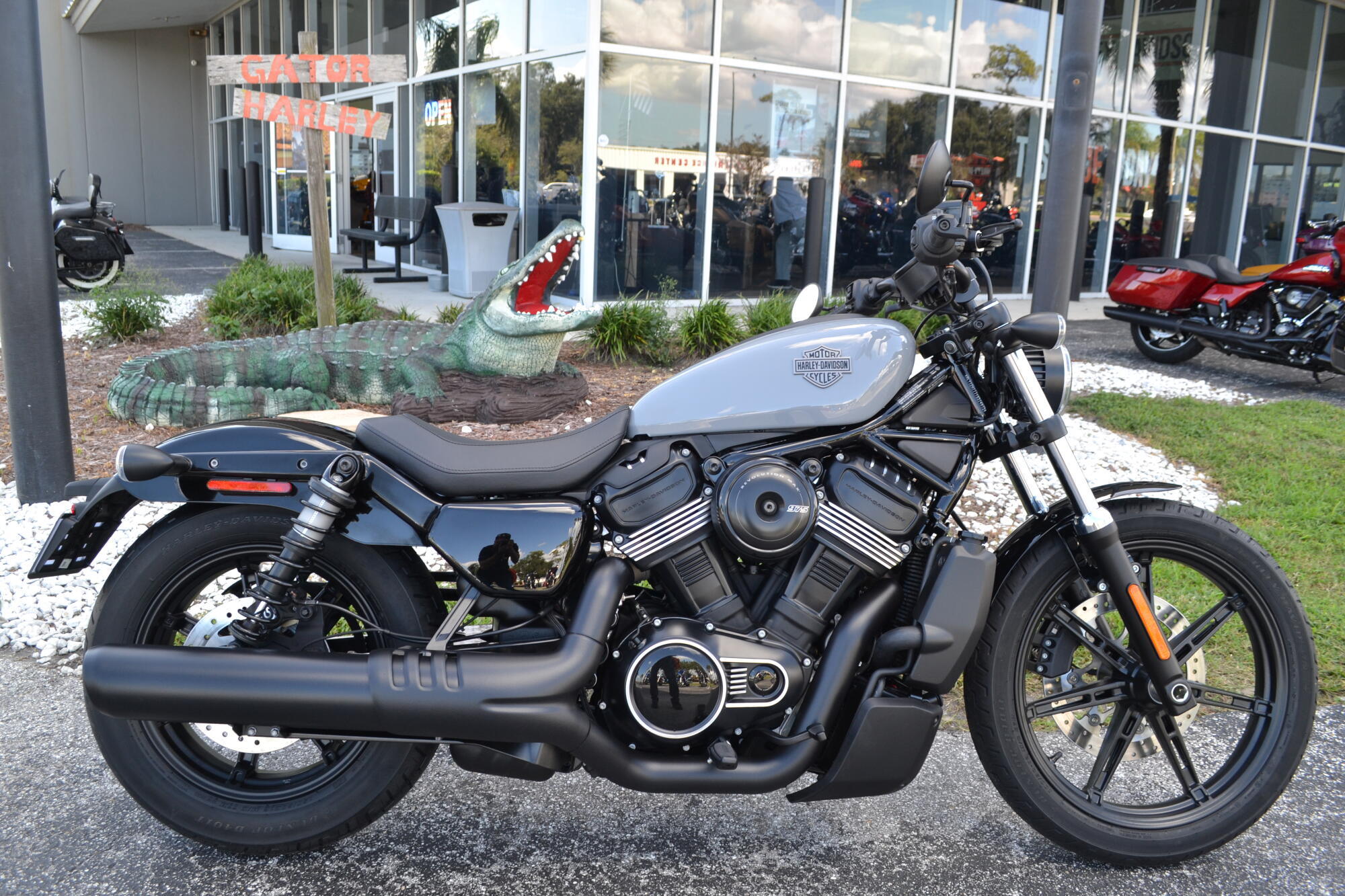 2026 Harley-Davidson Nightster in Leesburg, FL