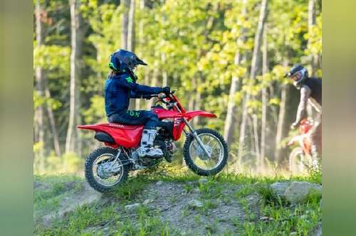 2027 Honda CRF110F in bear DE