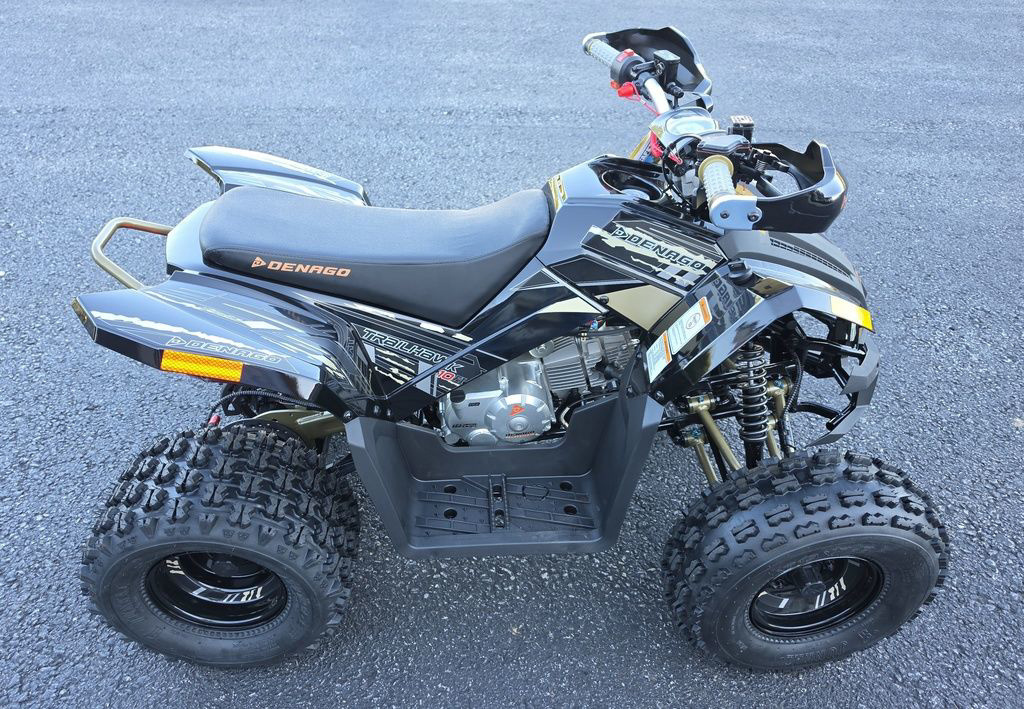 2026 Denago TRAILHAWK 10FI in camp hill PA