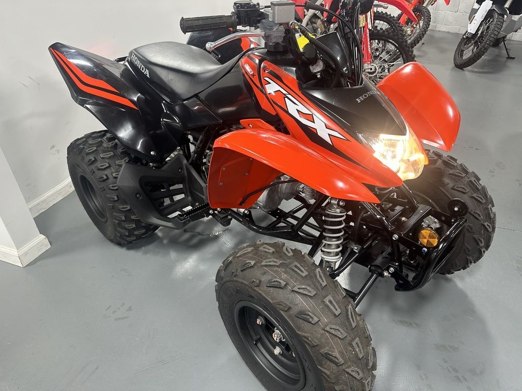 2024 Honda® TRX250X in williamsport PA