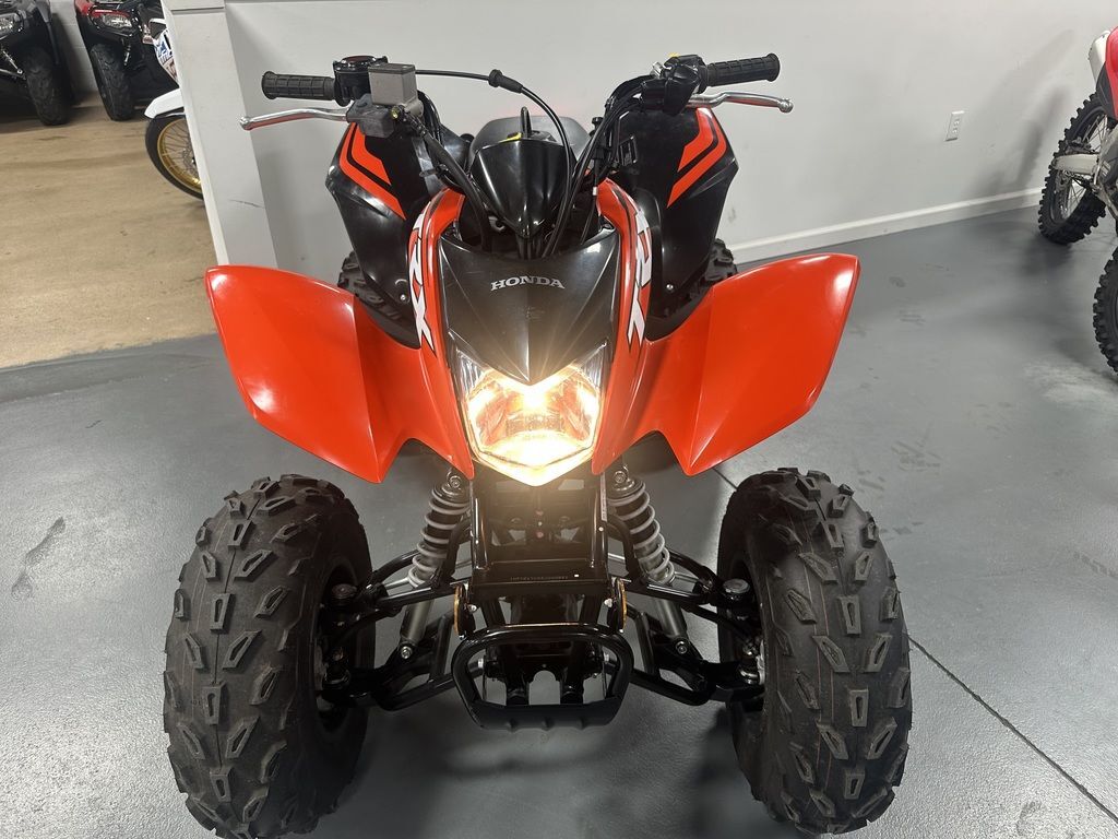 2024 Honda® TRX250X in williamsport PA