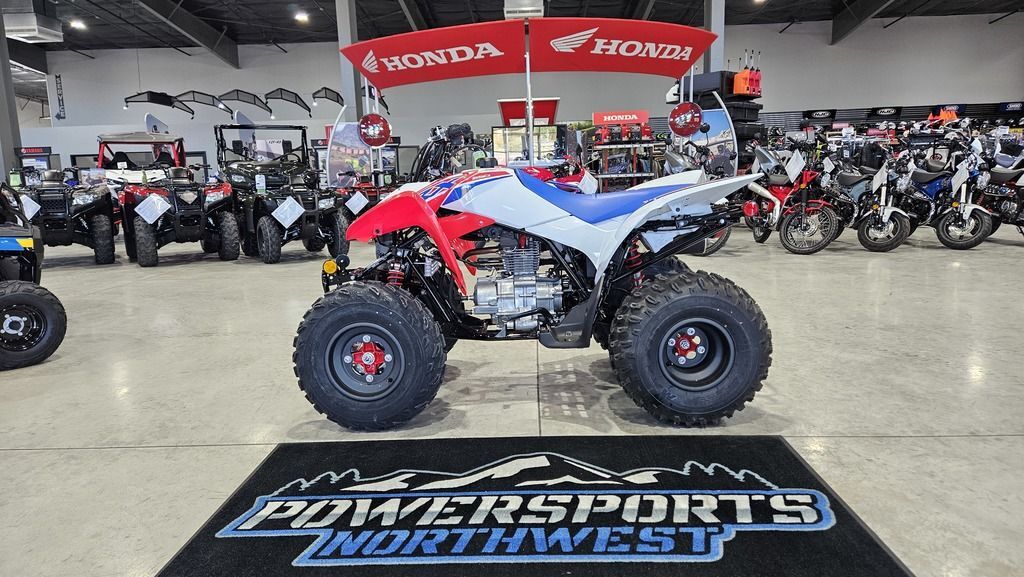 2026 Honda® TRX250X in chehalis WA
