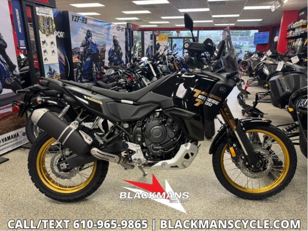 2026 Yamaha Tenere 700 World Raid 700 in Emmaus, PA