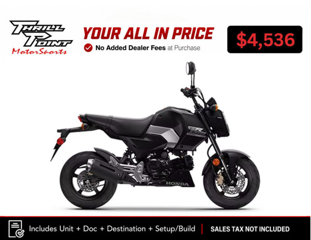 2025 Honda® Grom SP SP in Medina, OH