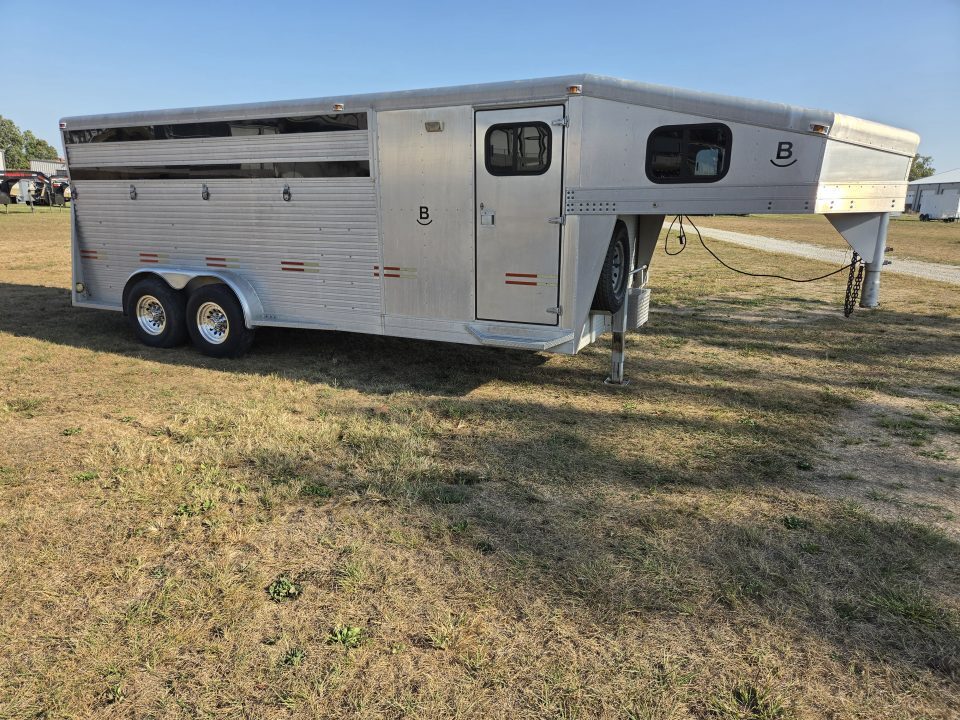 1999 WW STOCK in Billings, MO