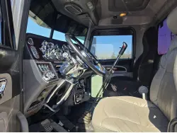 2014 PETERBILT 389