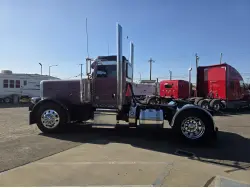 2014 PETERBILT 389