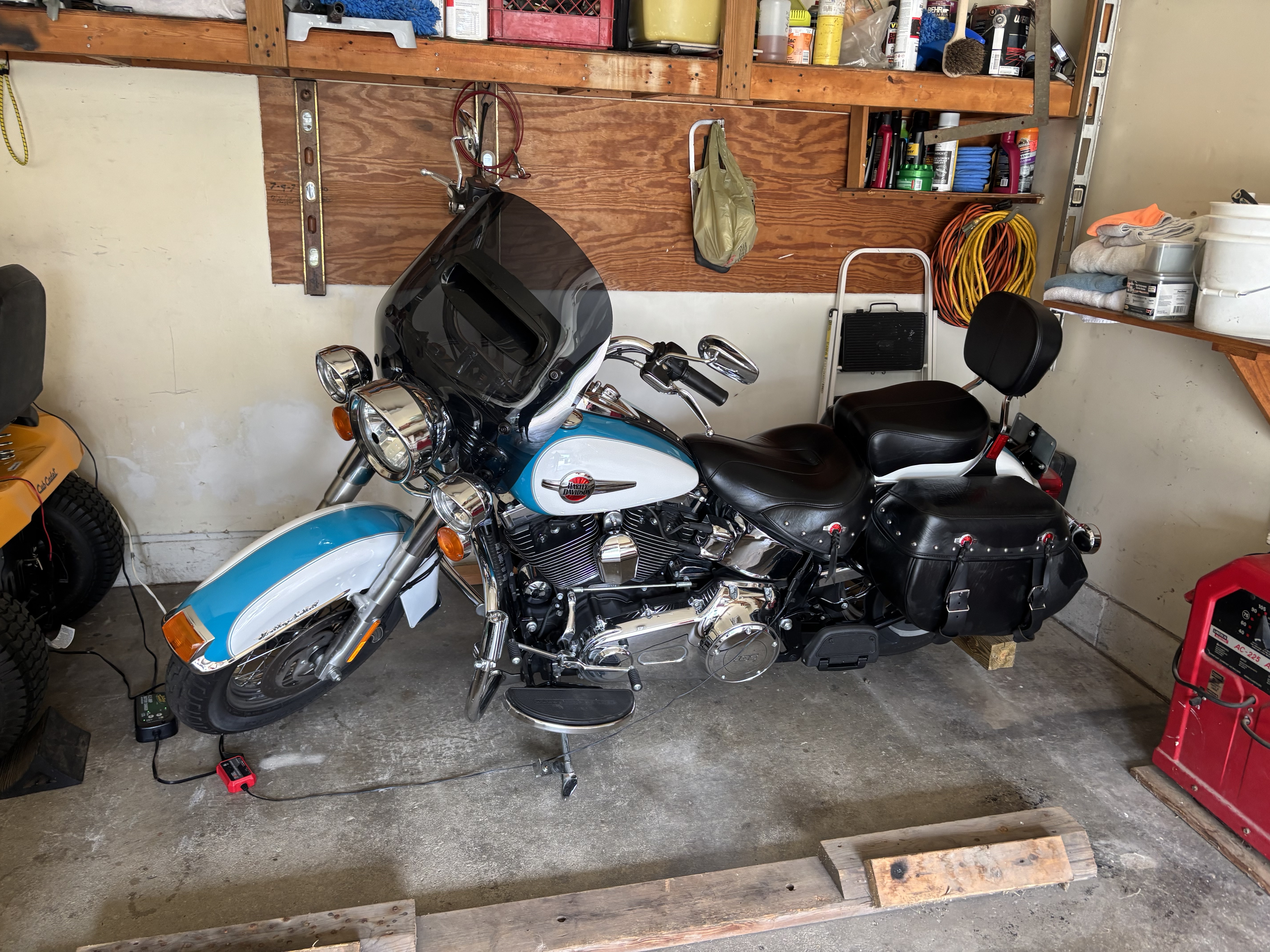 2017 Harley-Davidson SOFTAIL CUSTOM CUSTOM in Boardman, OH