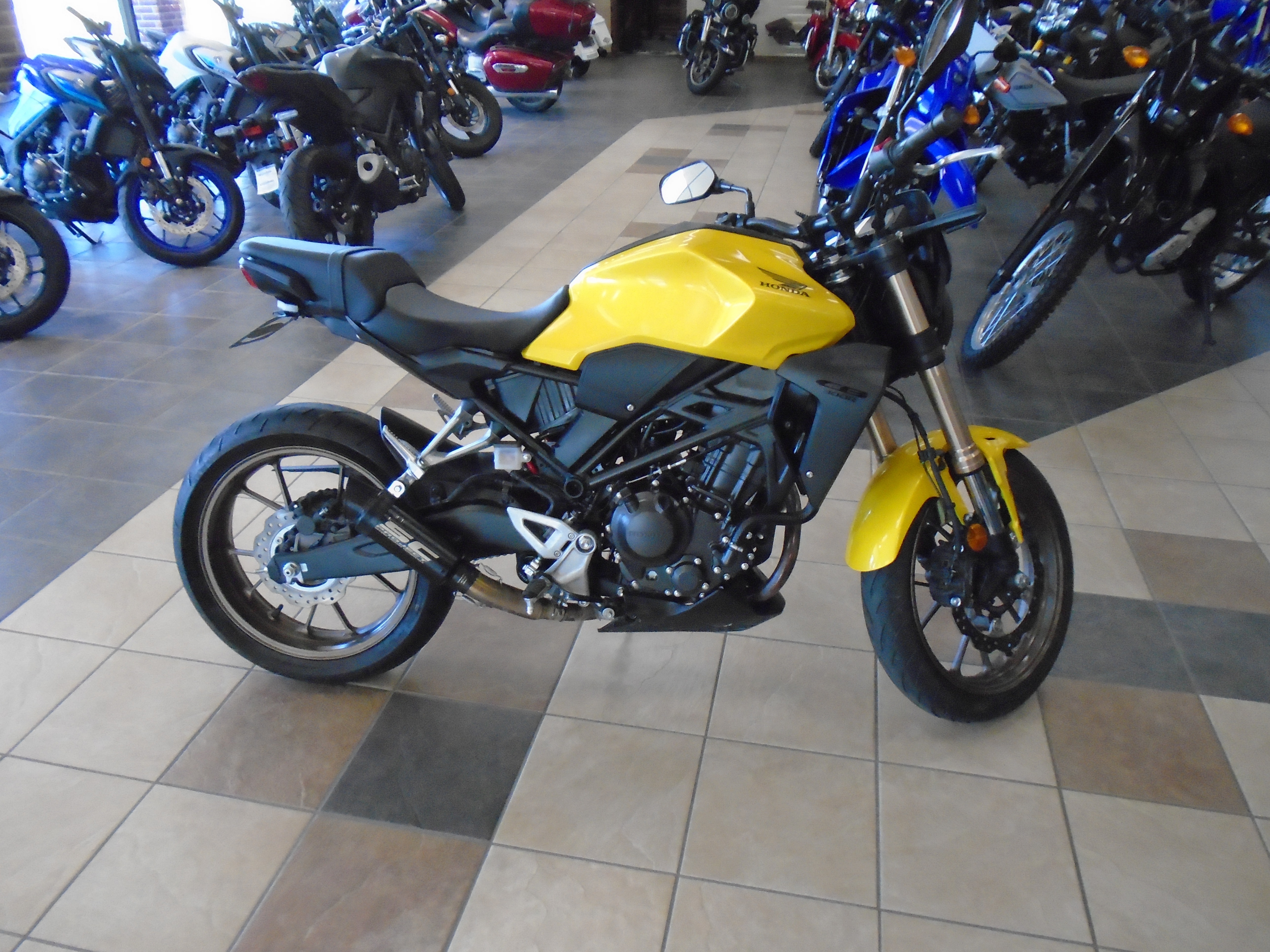 2024 Honda CB300R ABS 300R ABS in Shawnee, OK