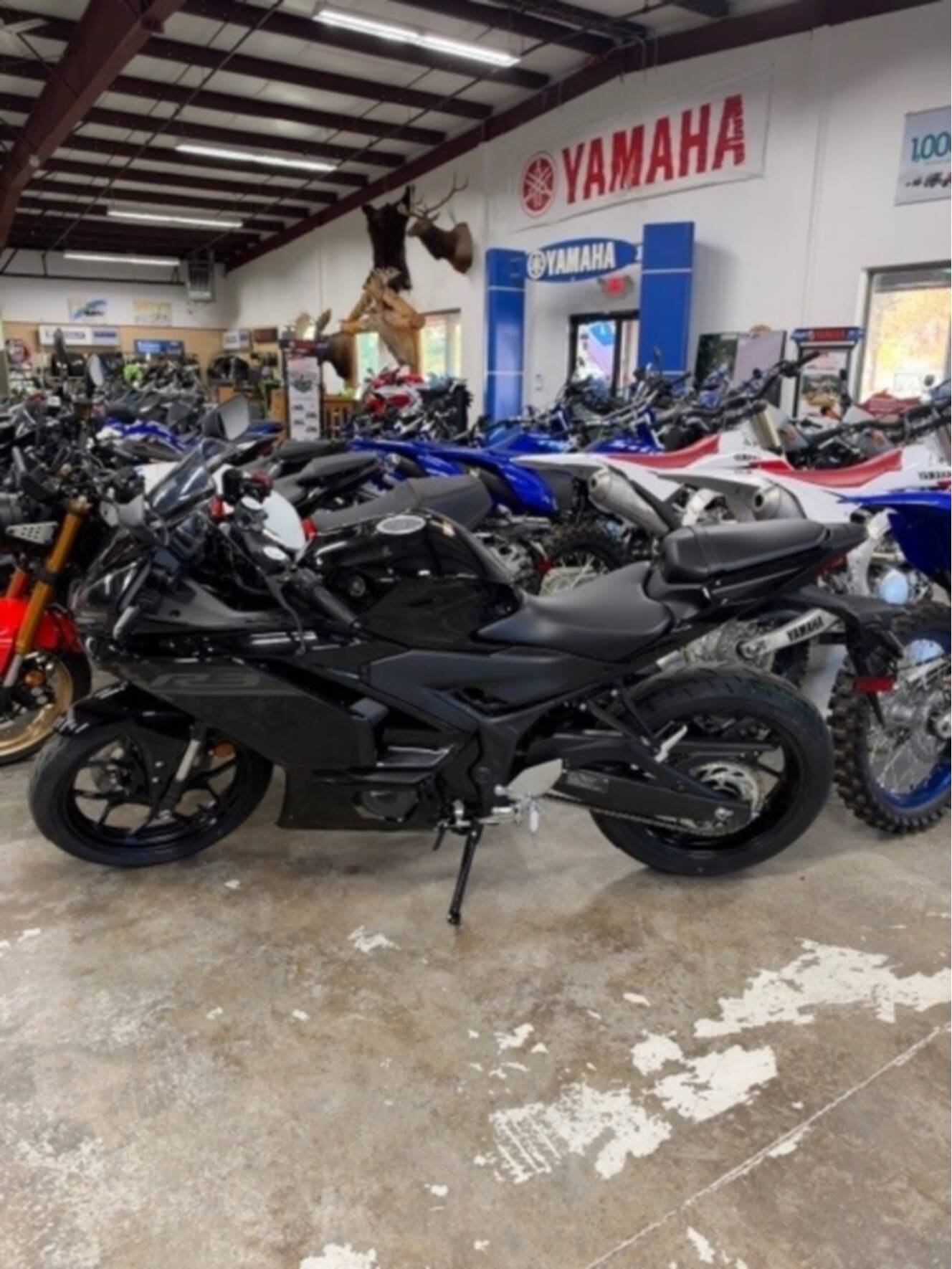 A photo of this 2026 Yamaha YZF-R3