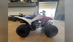 2026 Honda® TRX250X Youth ATV