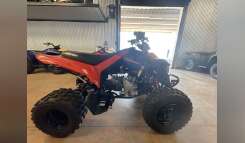 2026 Can-Am DS 250 Youth ATV