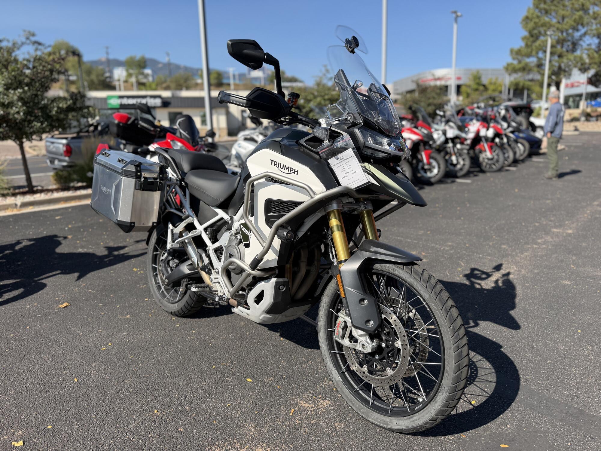 2024 Triumph Tiger 1200 Rally Explorer RALLY EXPLORER in Colorado Springs, CO