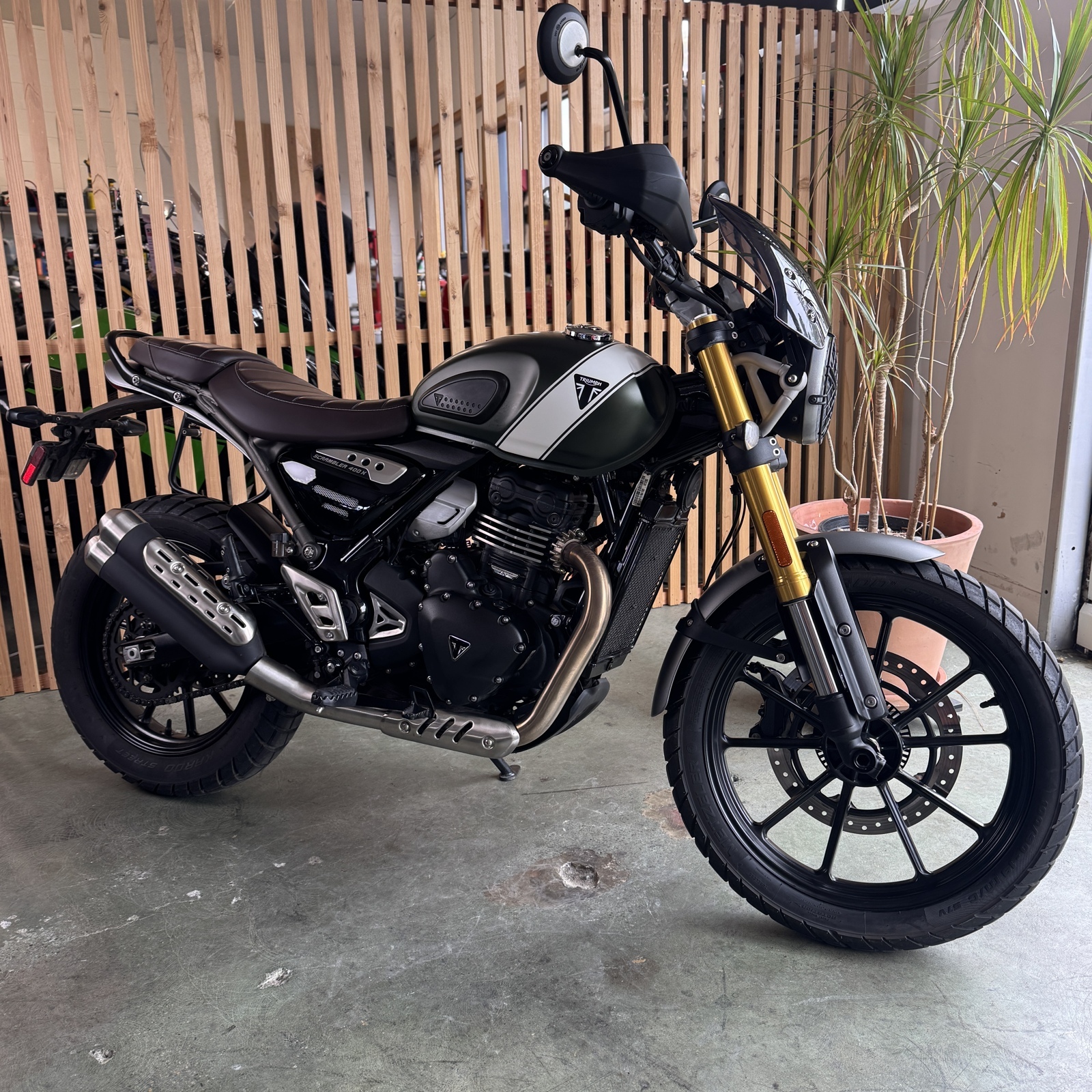 2024 Triumph SCRAMBLER 400 X 400 X in Seattle, WA