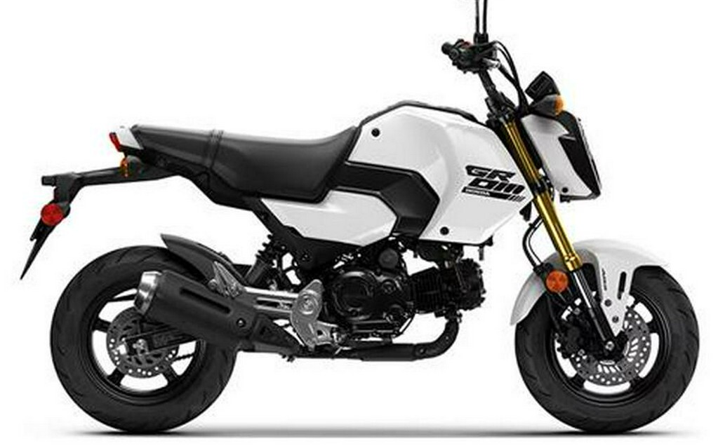 2025 Honda Grom ABS ABS in Pelham, AL