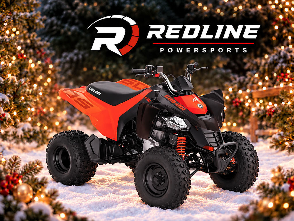 2027 Can-Am DS 250 UTV/Utility ATV