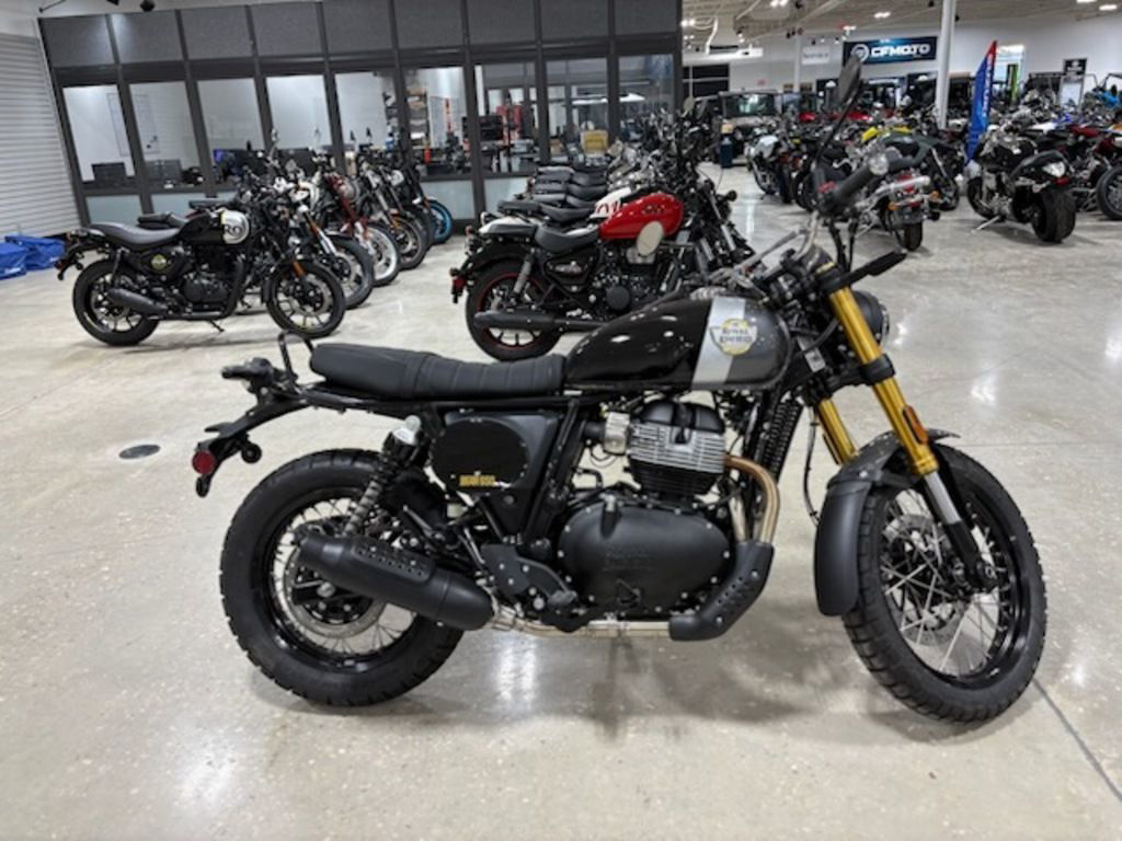 2026 Royal Enfield Bear 650 Golden Shadow 650 in Tallahassee, FL