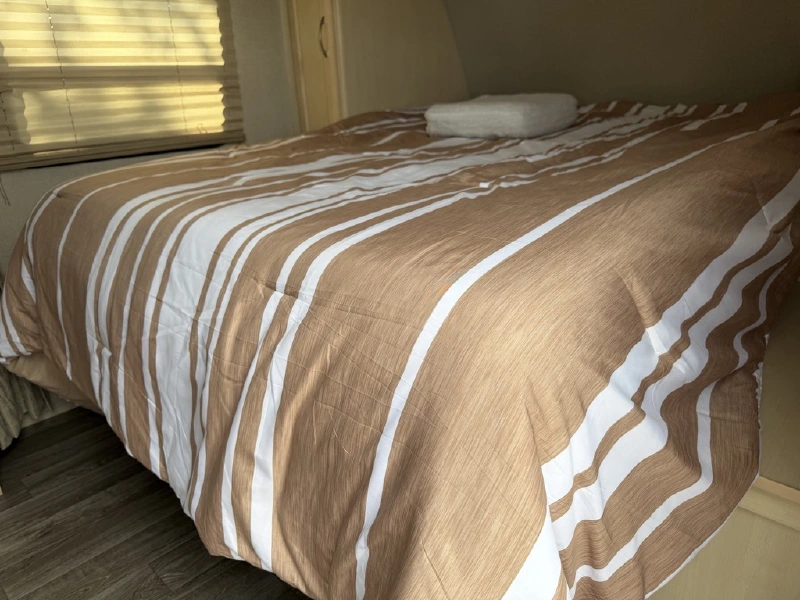 2019 WINNEBAGO MICRO MINNIE 2306BHS