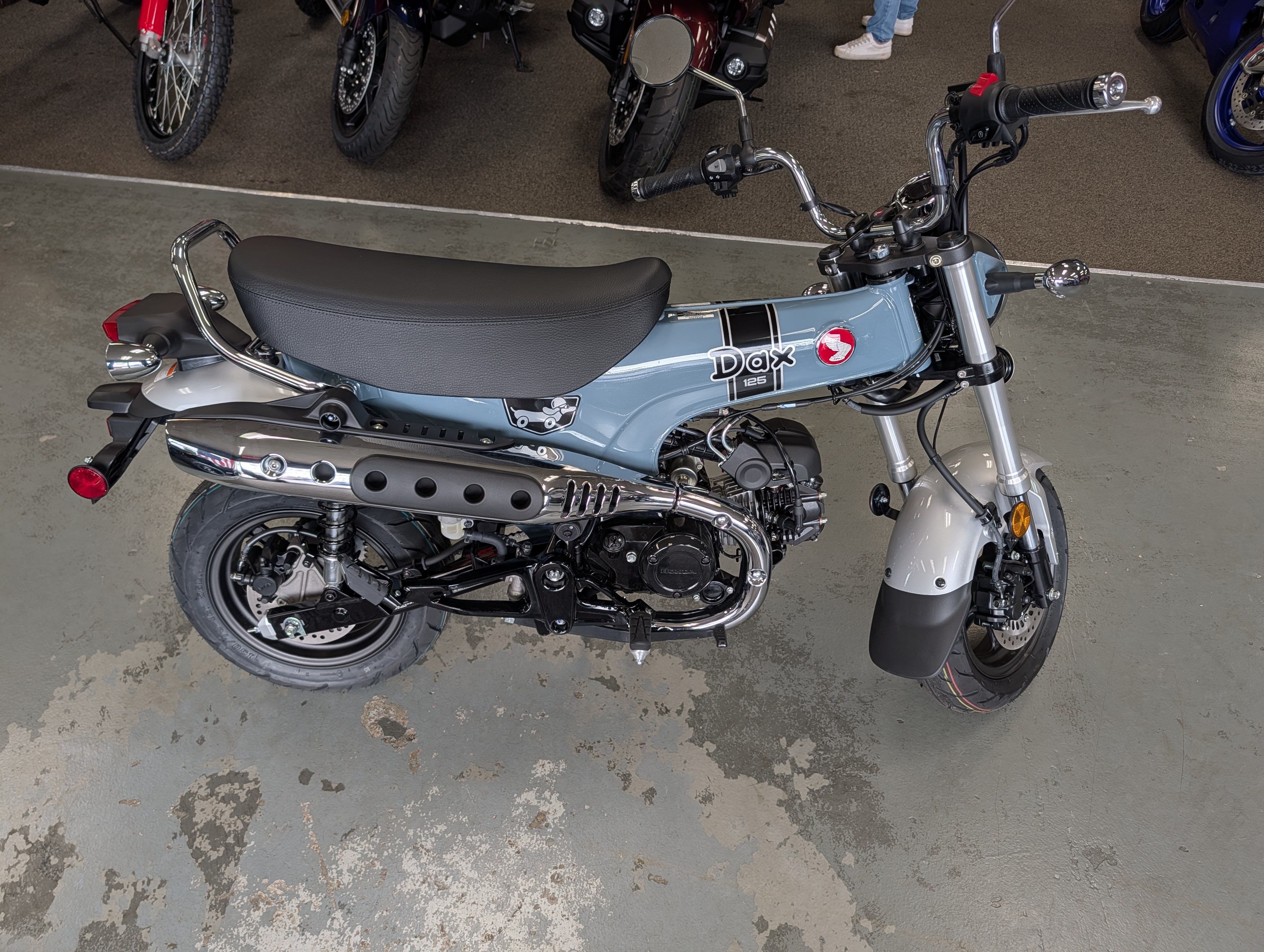 2025 Honda Dax 125 ABS 125 in Maumee, OH