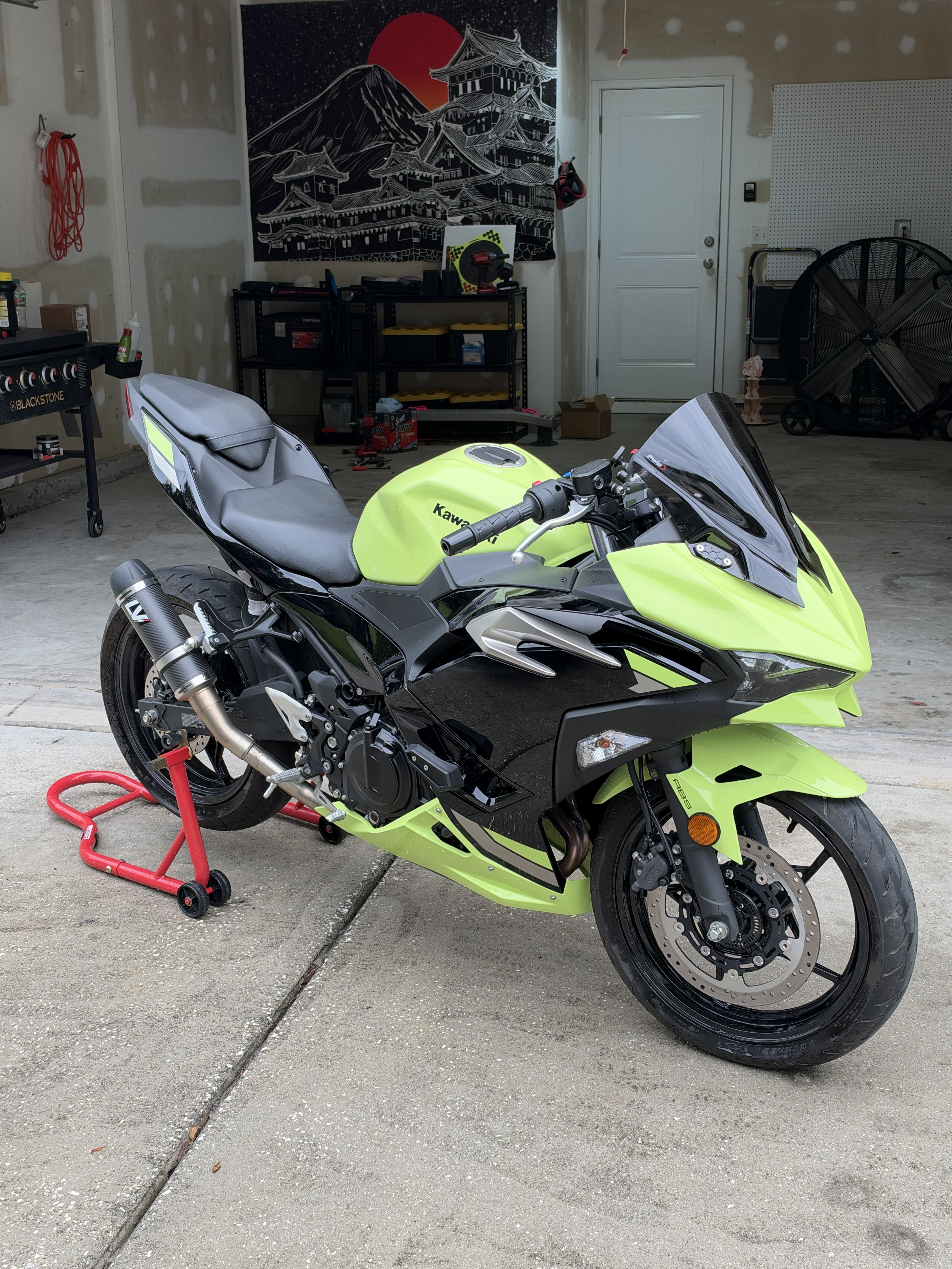 2026 Kawasaki NINJA 500 ABS ABS in Ladson, SC