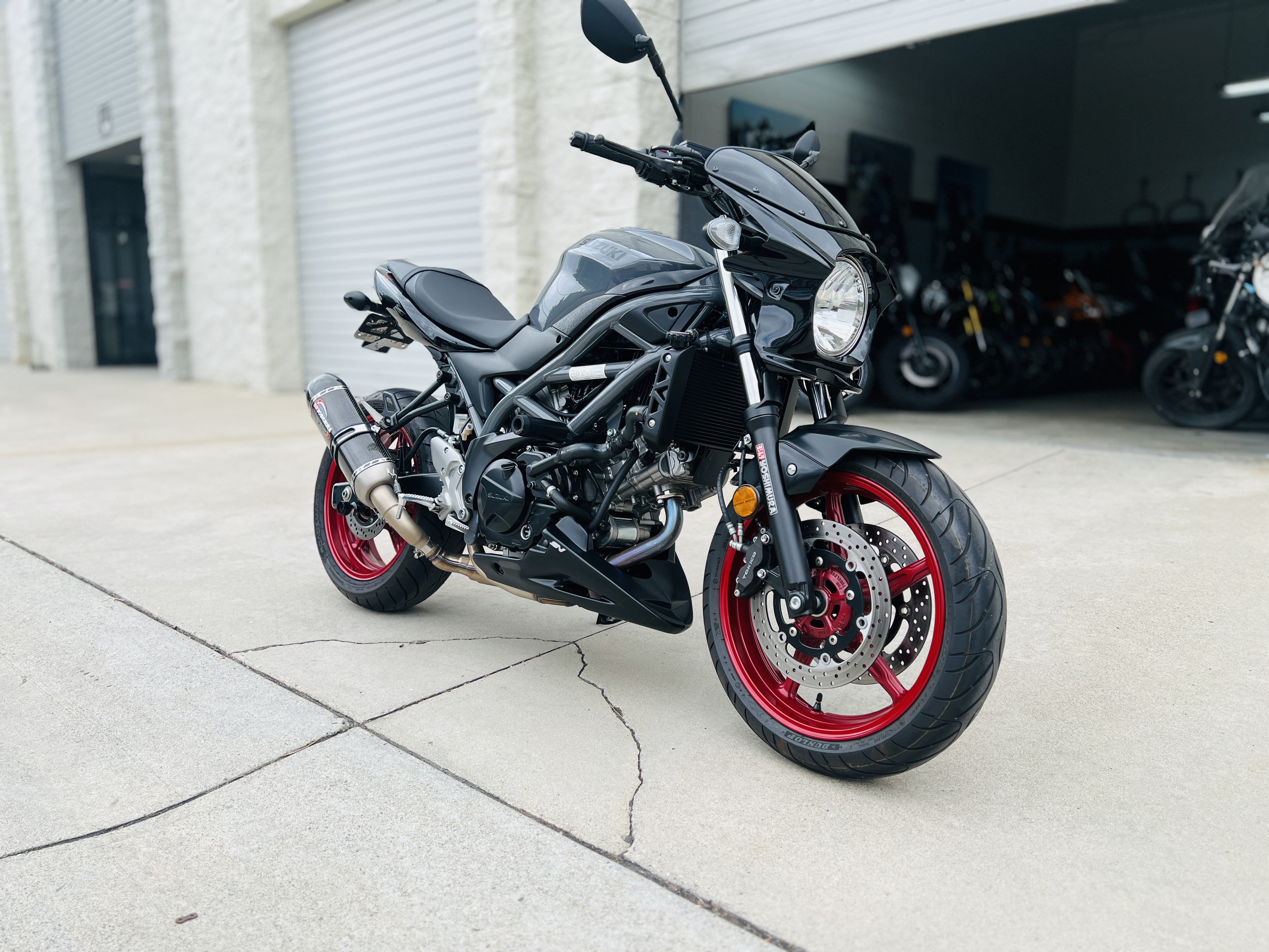 2023 Suzuki SV650 in Arcadia, CA