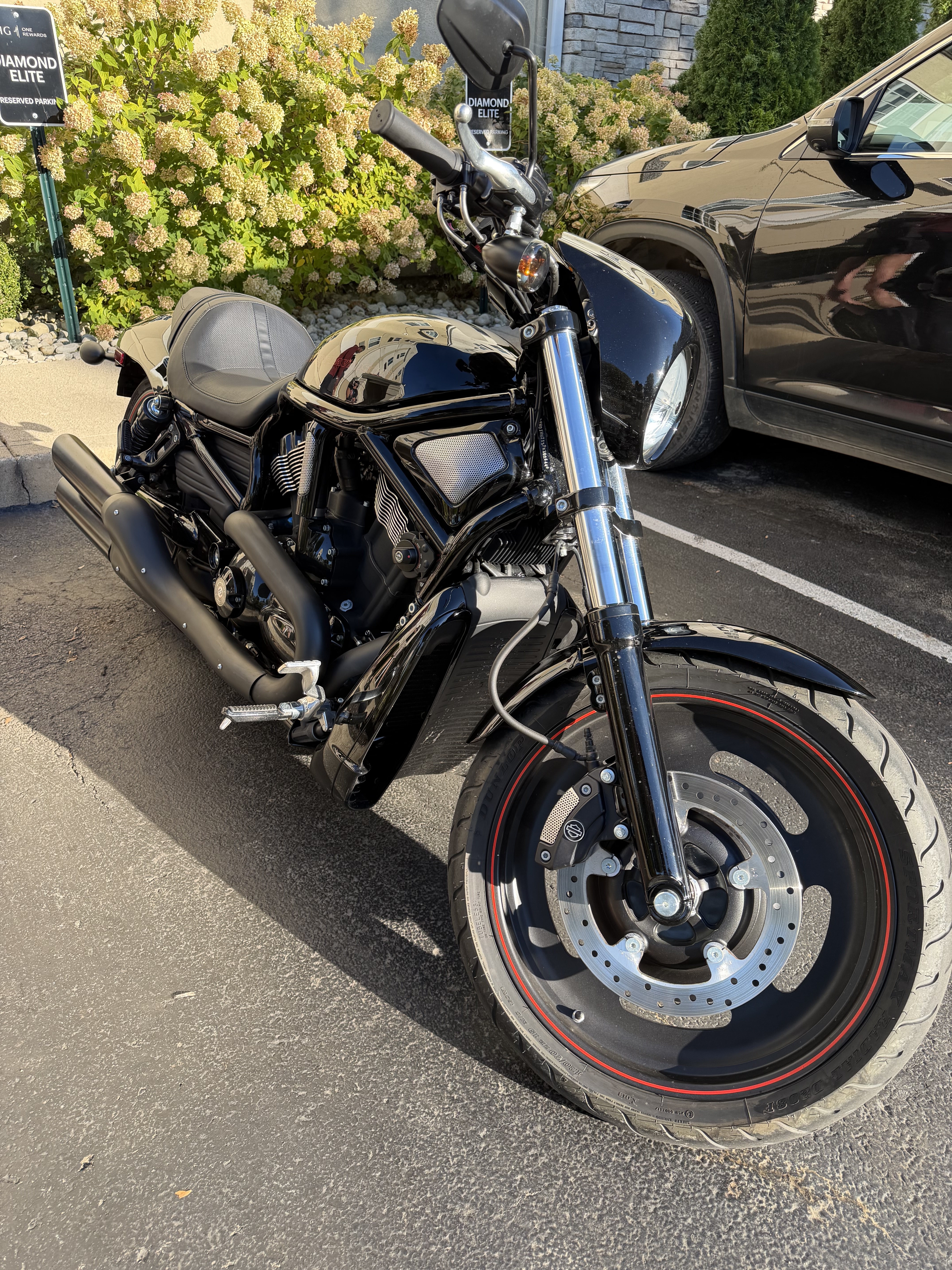 2007 Harley-Davidson NIGHT ROD SPECIAL SPECIAL in Delhi, LA