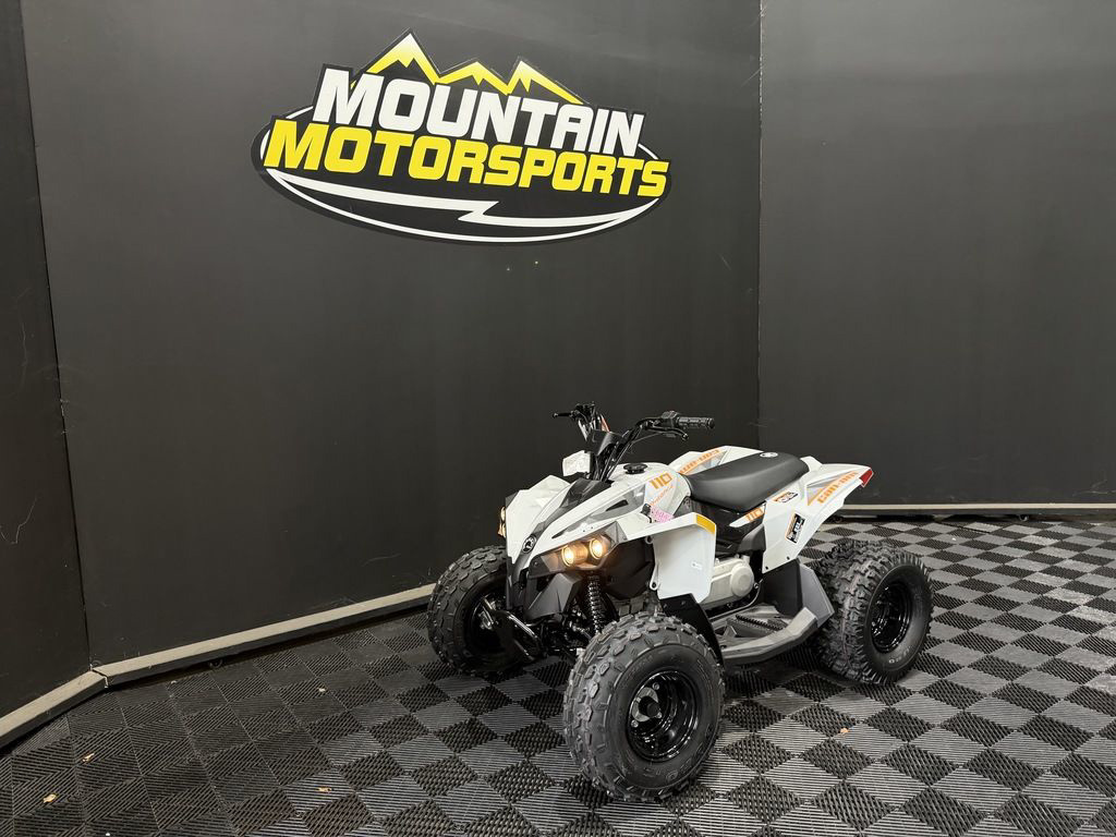 2027 Can-Am Renegade 110 EFI in lithia springs GA