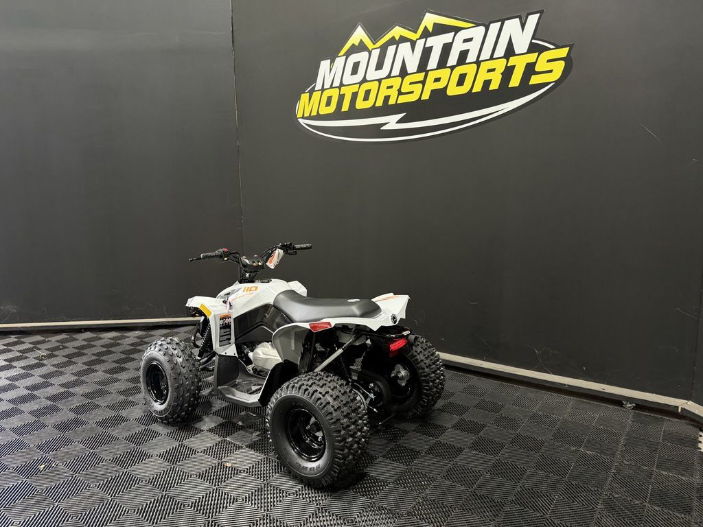 2027 Can-Am Renegade 110 EFI in lithia springs GA