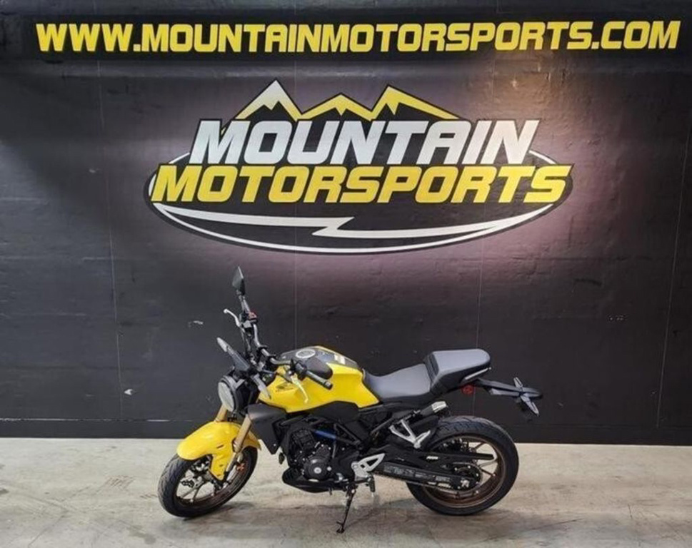 2025 Honda CB300R BASE in Oxford, AL