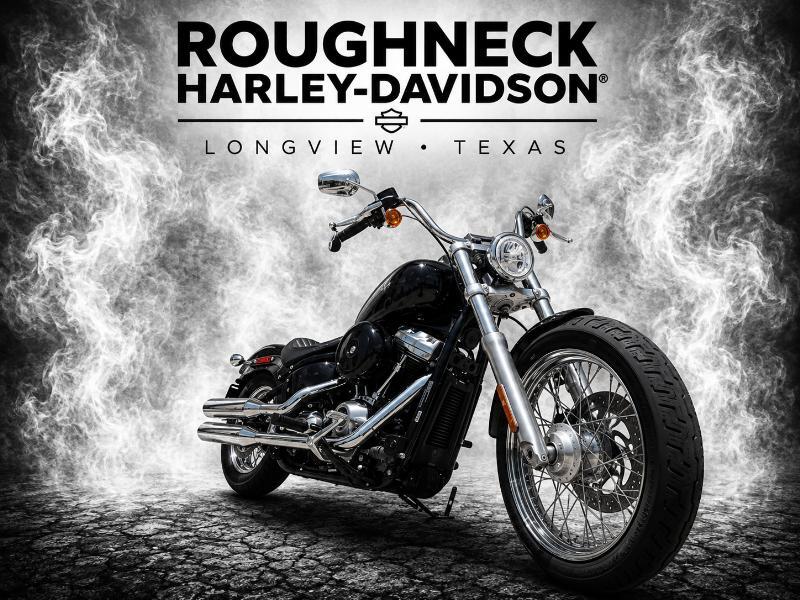 2021 Harley-Davidson SOFTAIL STANDARD STANDARD in Longview, TX