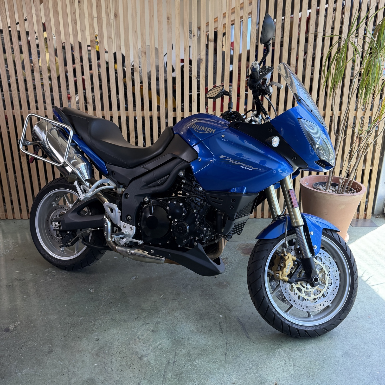 2007 Triumph TIGER 1050 1050 in Seattle, WA