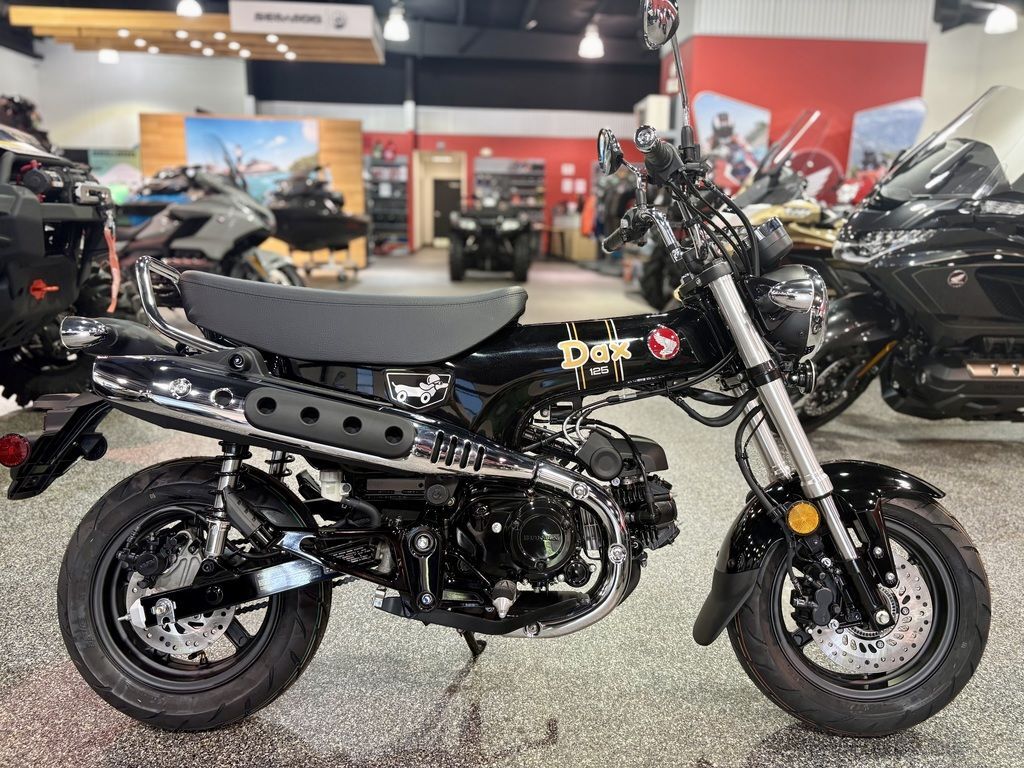 2026 Honda® Dax 125 125 in Covington, LA