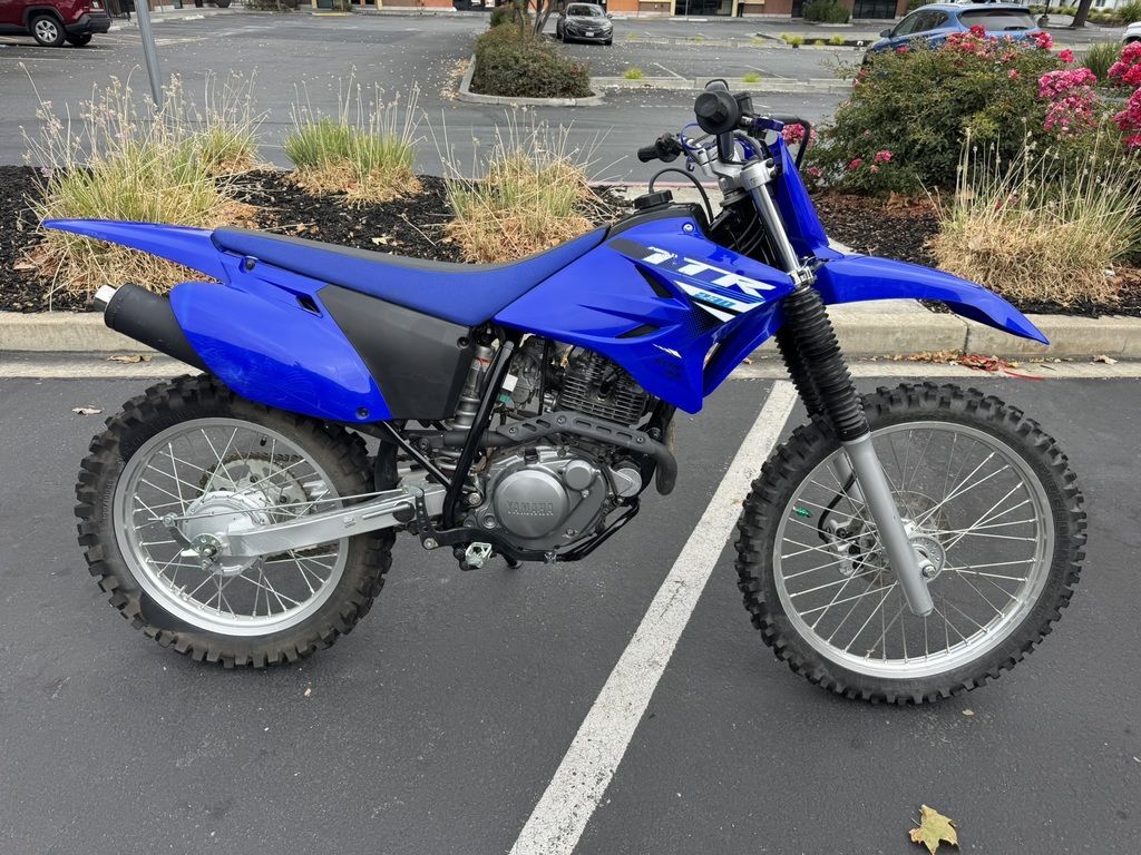 2025 Yamaha TT-R230 in Concord, CA