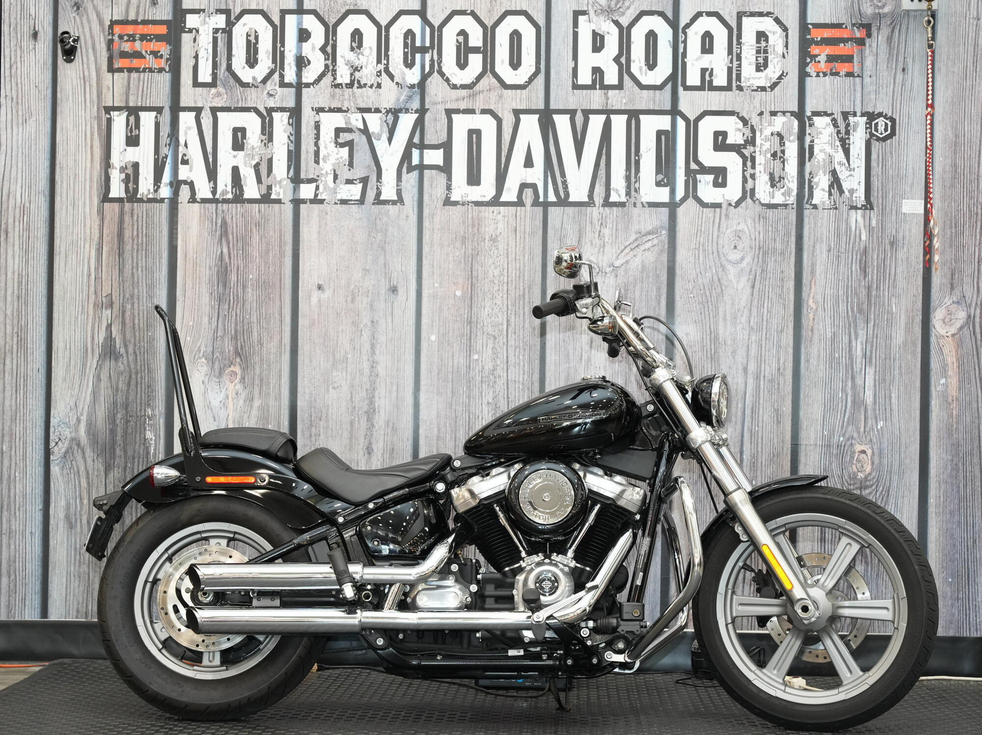 2022 Harley-Davidson Softail Standard STANDARD in Raleigh, NC